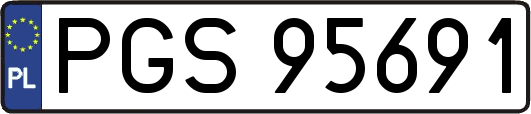 PGS95691