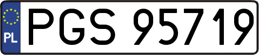 PGS95719
