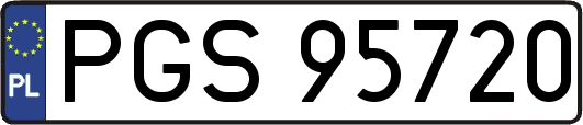 PGS95720