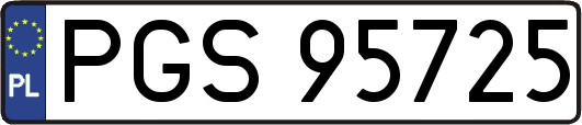 PGS95725