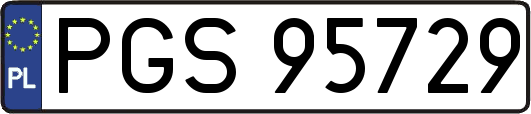 PGS95729