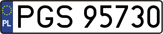 PGS95730