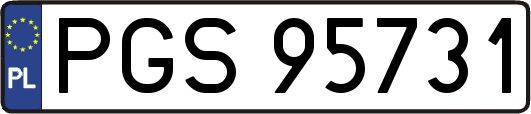 PGS95731