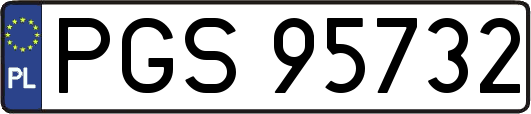 PGS95732