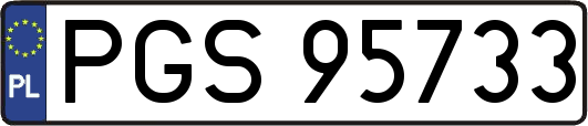 PGS95733