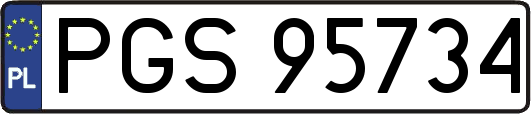 PGS95734