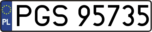 PGS95735