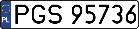 PGS95736