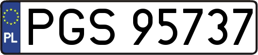 PGS95737