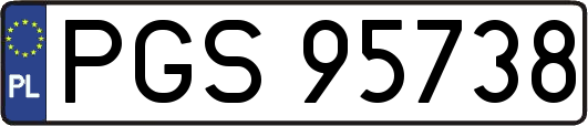 PGS95738