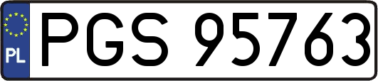 PGS95763