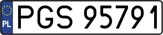 PGS95791