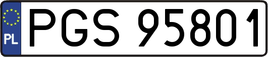 PGS95801