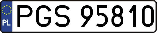 PGS95810