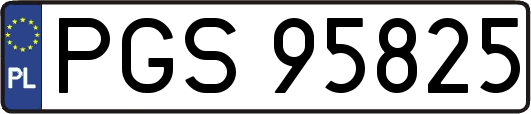 PGS95825