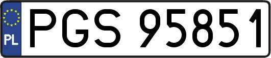 PGS95851
