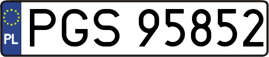 PGS95852