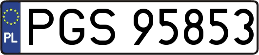 PGS95853