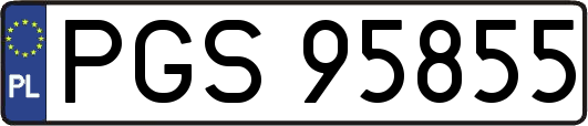 PGS95855