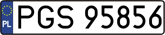PGS95856