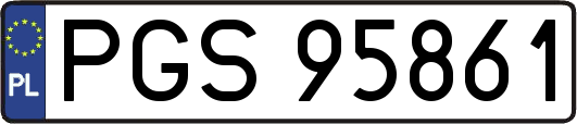 PGS95861