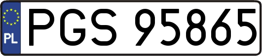 PGS95865