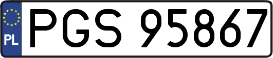 PGS95867