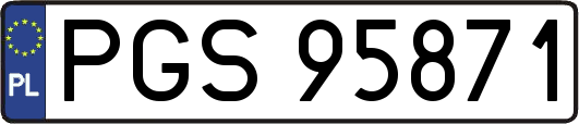 PGS95871