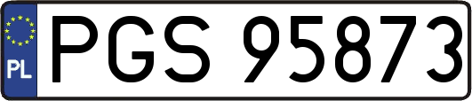 PGS95873