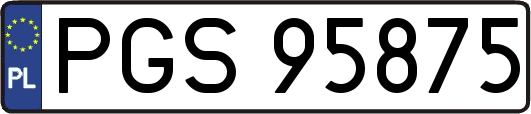 PGS95875
