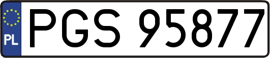 PGS95877
