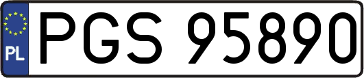 PGS95890