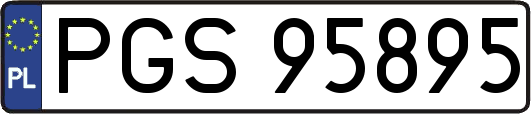 PGS95895