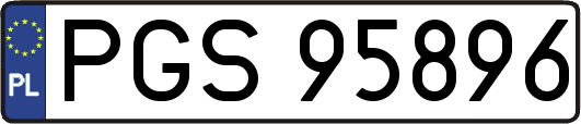 PGS95896