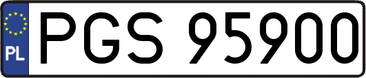 PGS95900