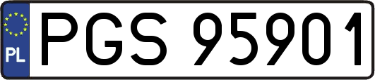 PGS95901