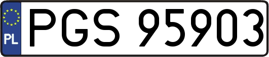 PGS95903