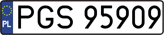 PGS95909