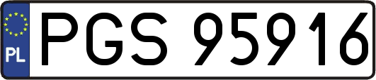 PGS95916