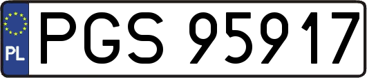 PGS95917