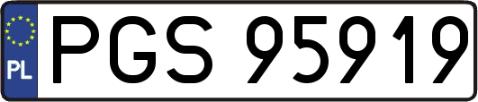 PGS95919