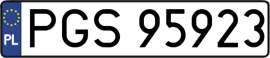 PGS95923