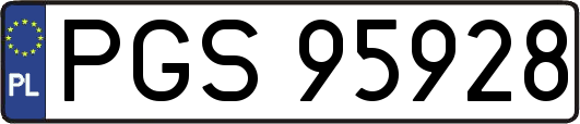 PGS95928