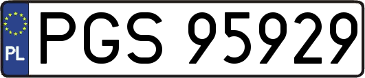 PGS95929
