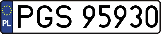 PGS95930