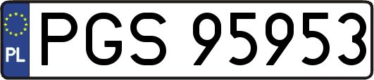 PGS95953