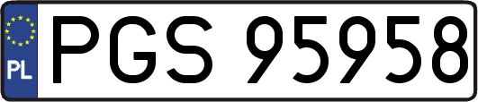 PGS95958