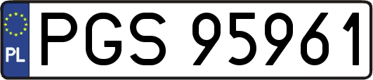 PGS95961