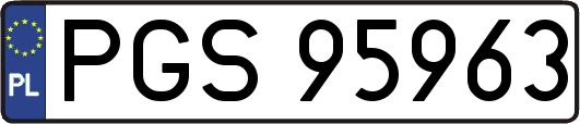 PGS95963