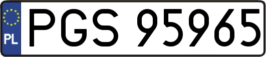 PGS95965